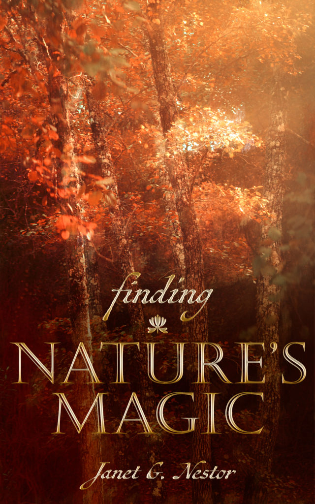 Finding Nature's Magic Book Cover